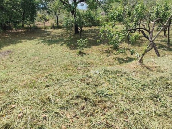 terreno agricolo in vendita a Formia