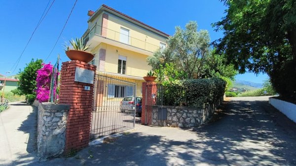 immagine annuncio 0 di 15