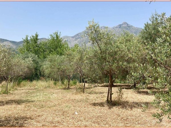 terreno agricolo in vendita a Formia