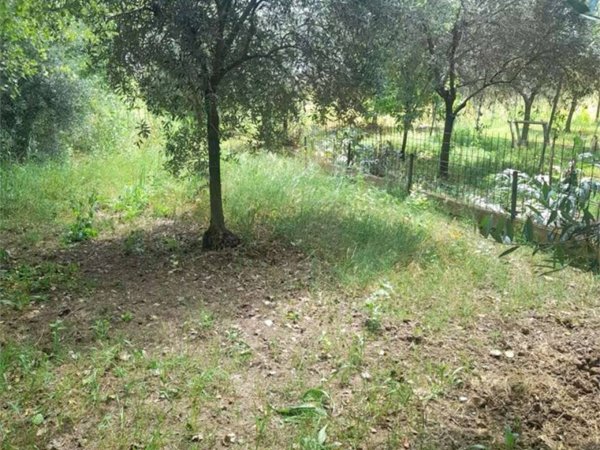 terreno agricolo in vendita a Formia