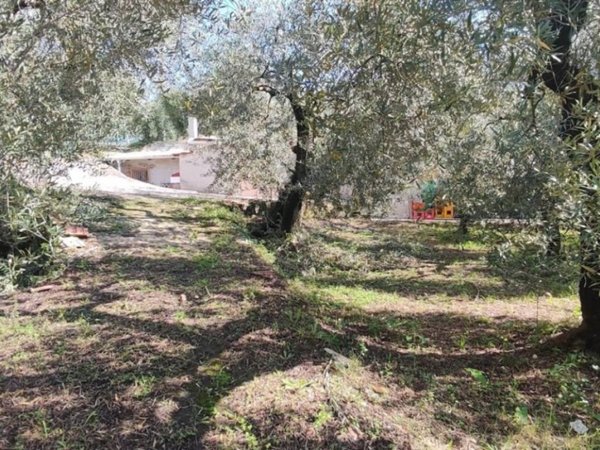 quadrivano in vendita a Formia