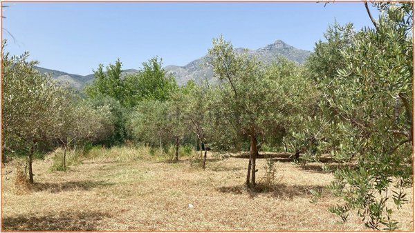 terreno agricolo in vendita a Formia