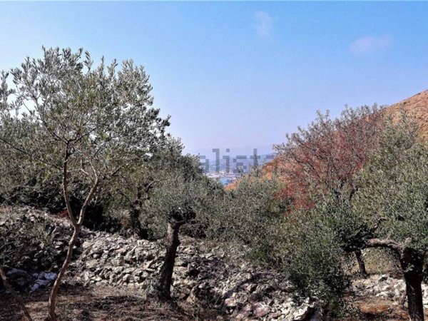 terreno agricolo in vendita a Formia