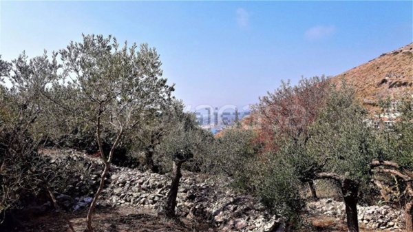 terreno agricolo in vendita a Formia