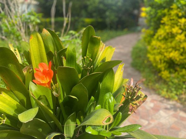 appartamento in vendita a Formia