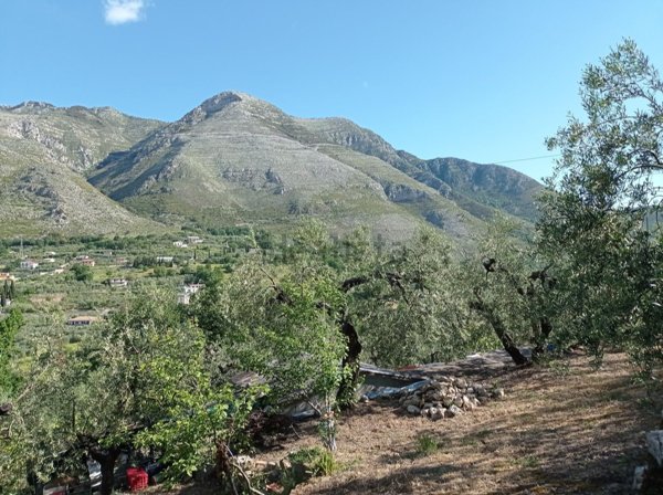 terreno agricolo in vendita a Formia in zona Castellonorato