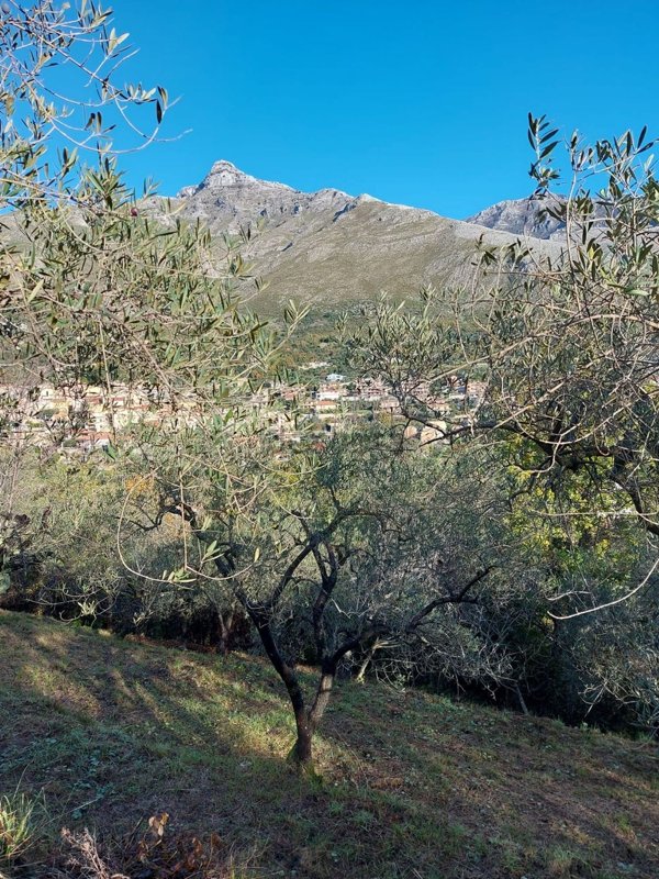 terreno agricolo in vendita a Formia