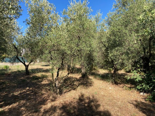 terreno agricolo in vendita a Formia in zona Trivio