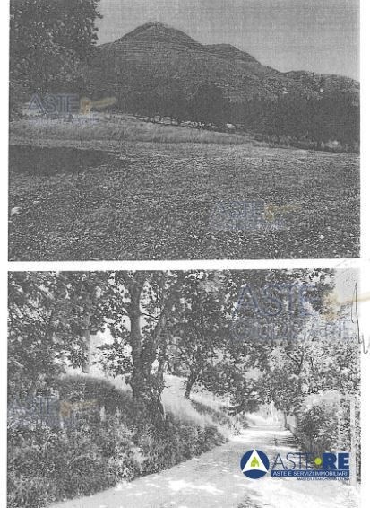 terreno agricolo in vendita a Formia