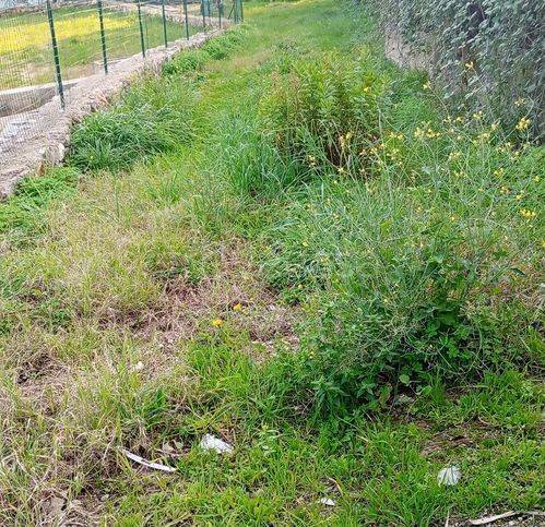 terreno agricolo in vendita a Formia
