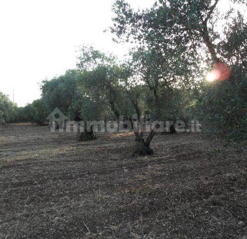 terreno agricolo in vendita a Formia