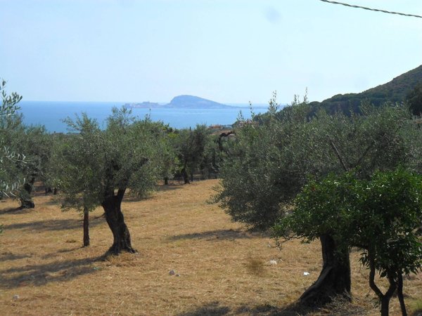 terreno agricolo in vendita a Formia