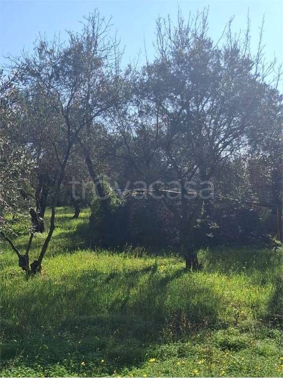 terreno agricolo in vendita a Formia