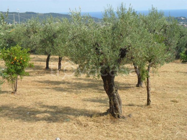 terreno agricolo in vendita a Formia