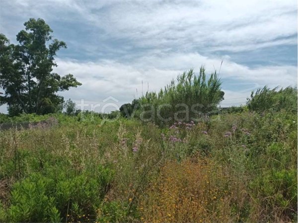 terreno agricolo in vendita a Formia