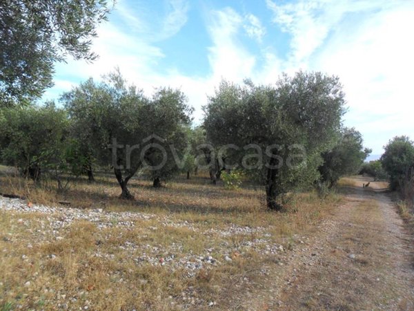 terreno agricolo in vendita a Formia