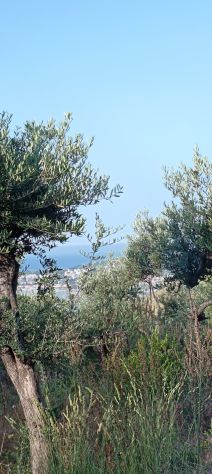 terreno agricolo in vendita a Formia