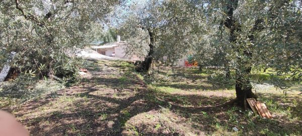 quadrivano in vendita a Formia in zona Trivio