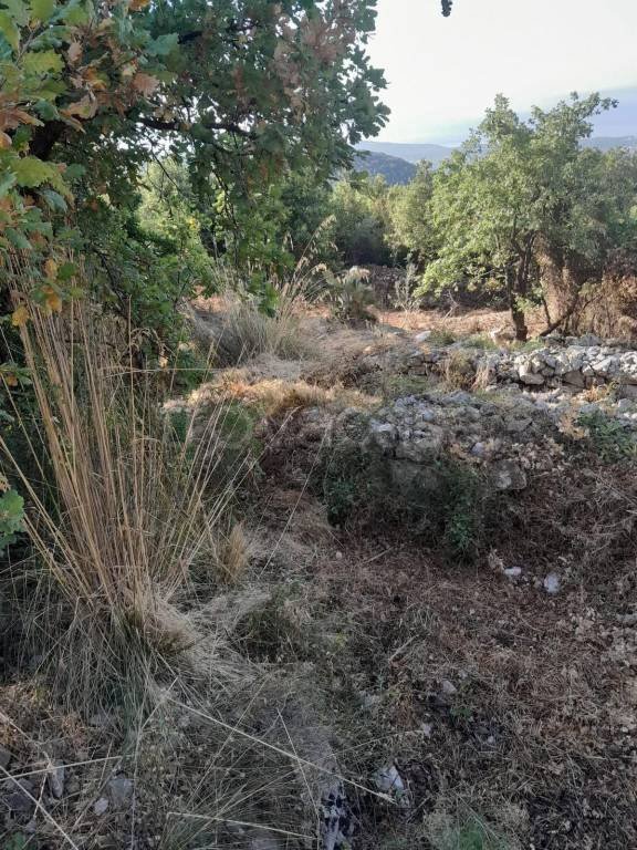 terreno agricolo in vendita a Formia in zona Acquatraversa