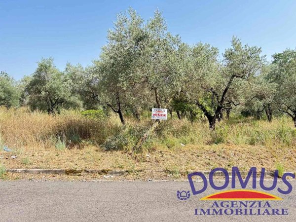 terreno agricolo in vendita a Formia