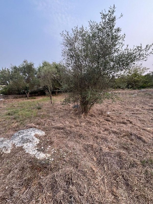 terreno in vendita a Formia in zona Penitro