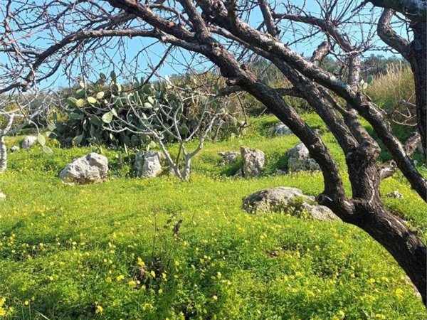terreno agricolo in vendita a Gaeta in zona Sant'Agostino