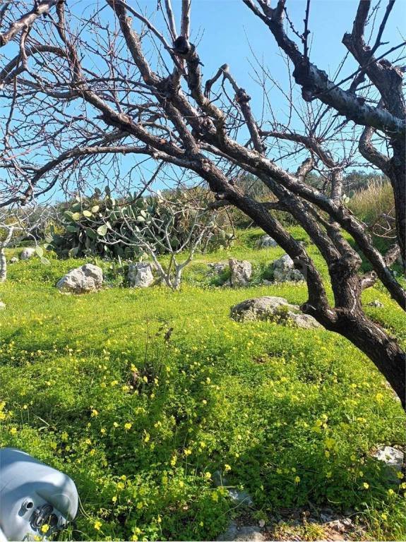 terreno agricolo in vendita a Gaeta in zona Sant'Agostino