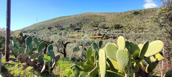 terreno agricolo in vendita a Gaeta