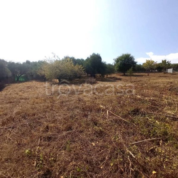 terreno agricolo in vendita a Gaeta