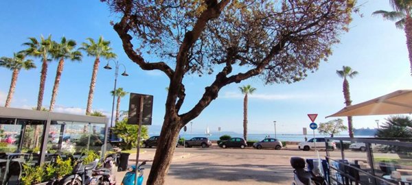 negozio in vendita a Gaeta