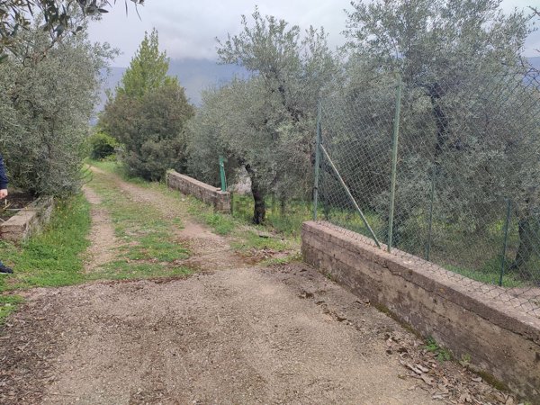 terreno agricolo in vendita a Gaeta