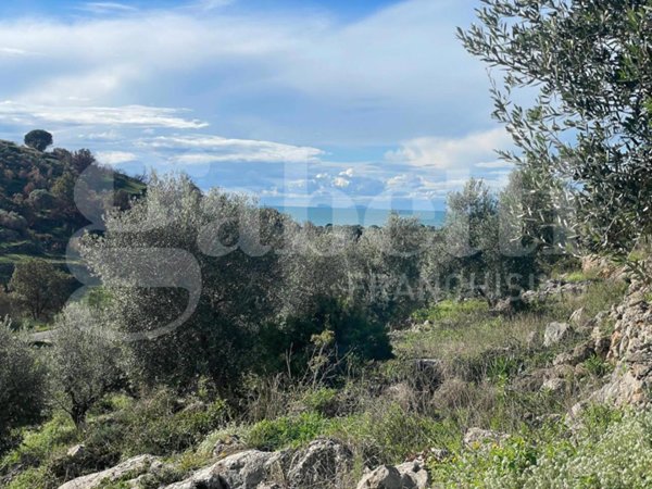 terreno agricolo in vendita a Gaeta in zona Sant'Agostino