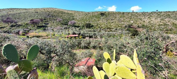 terreno agricolo in vendita a Gaeta