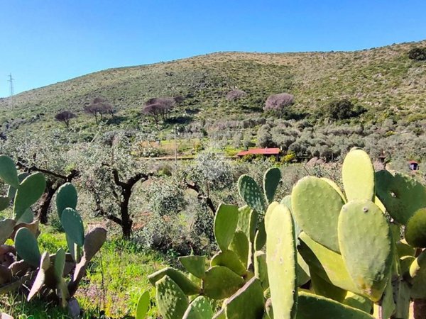 terreno agricolo in vendita a Gaeta