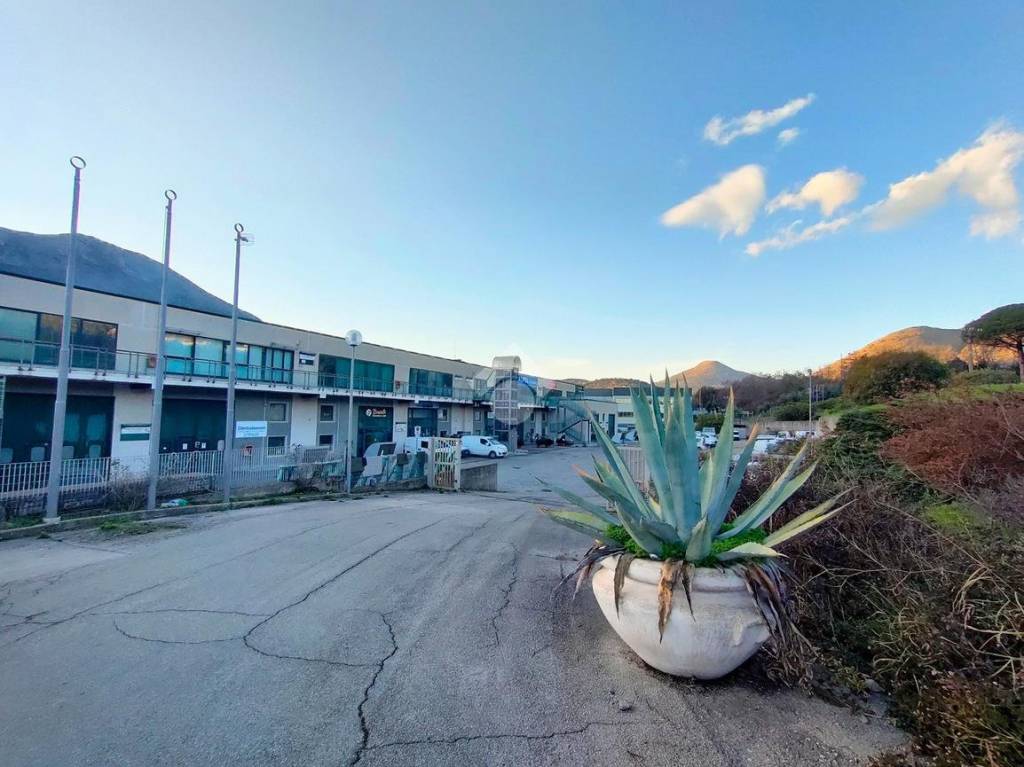 negozio in vendita a Gaeta