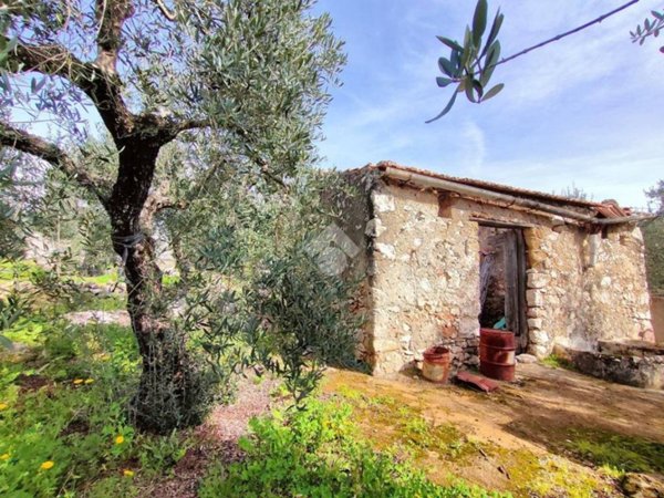 terreno agricolo in vendita a Gaeta