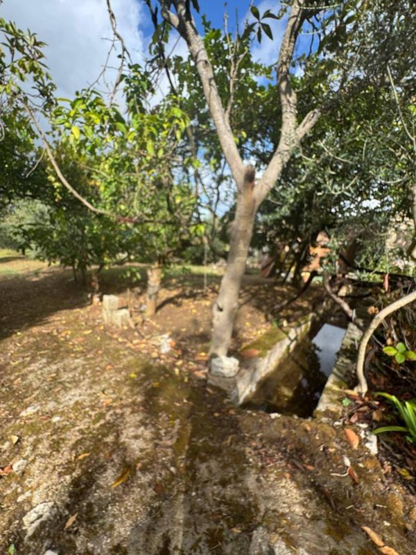 casa indipendente in vendita a Gaeta in zona Serapo
