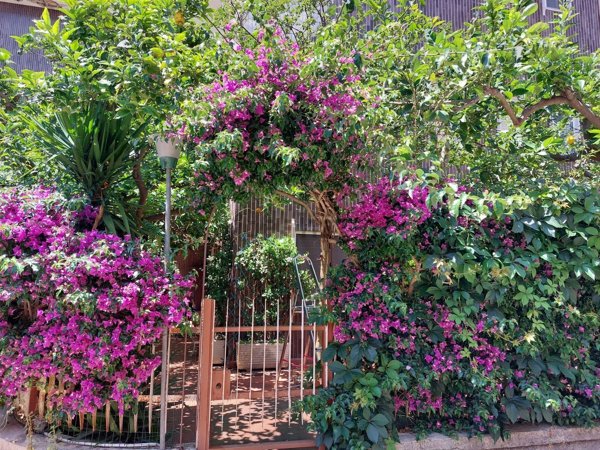 appartamento in vendita a Gaeta in zona Serapo