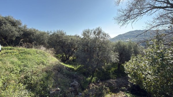 terreno agricolo in vendita a Gaeta in zona Sant'Agostino