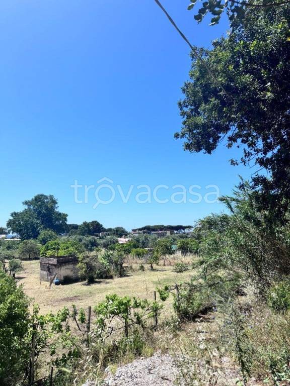terreno agricolo in vendita a Gaeta