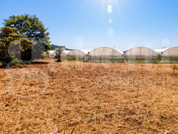 terreno agricolo in vendita a Gaeta in zona Sant'Agostino