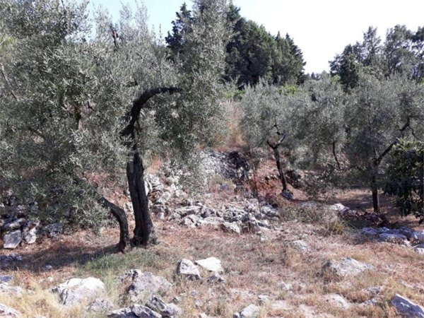 terreno agricolo in vendita ad Itri