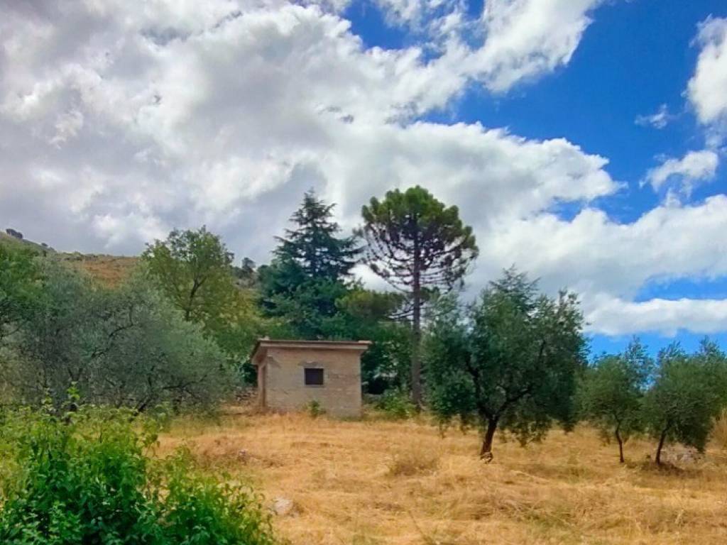 terreno agricolo in vendita ad Itri