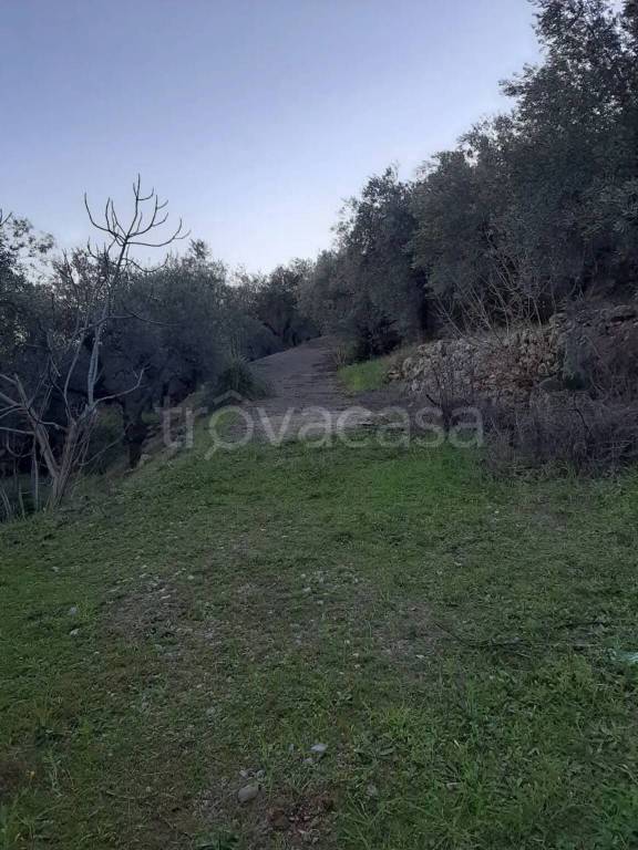 terreno agricolo in vendita ad Itri