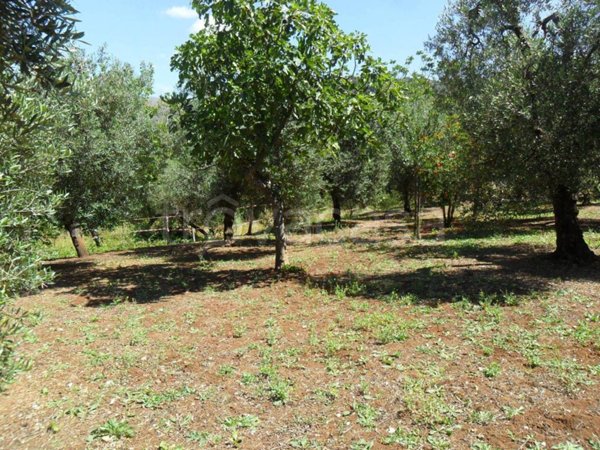 terreno agricolo in vendita ad Itri