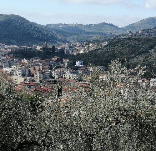 terreno agricolo in vendita ad Itri