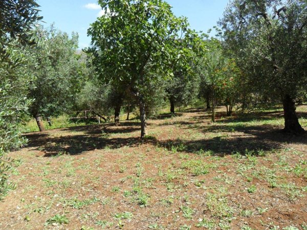 terreno agricolo in vendita ad Itri