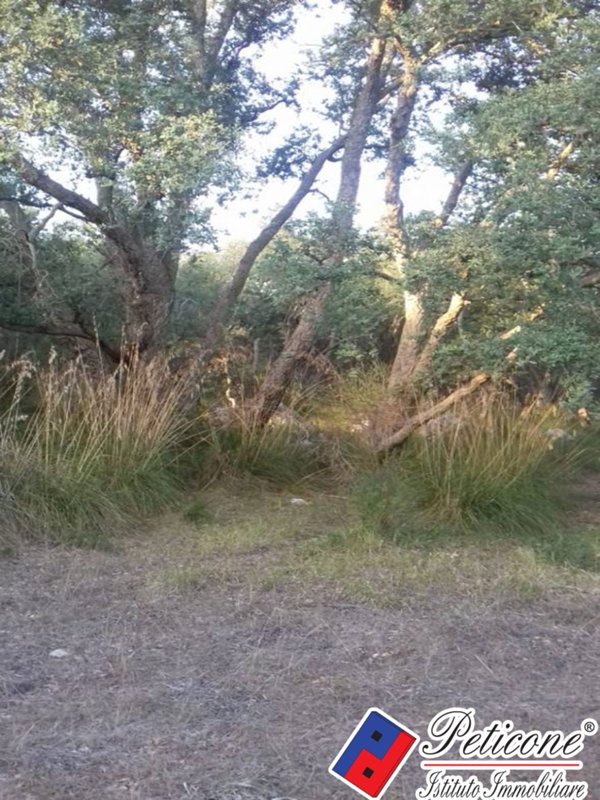 terreno agricolo in vendita ad Itri