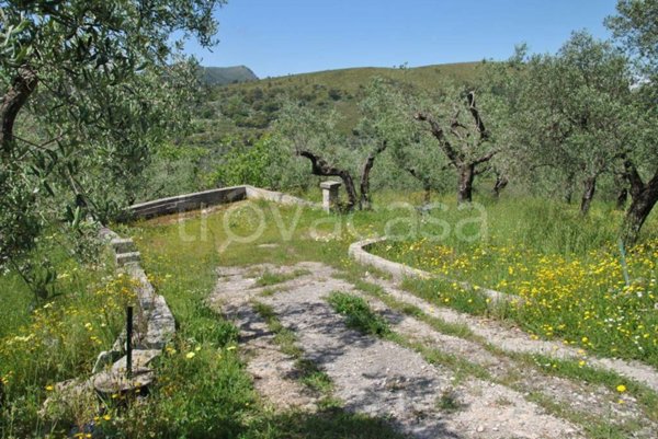 terreno agricolo in vendita ad Itri