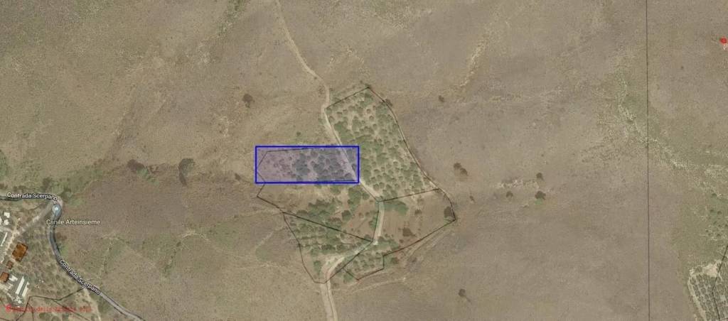 terreno agricolo in vendita ad Itri